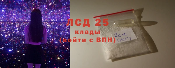 гашик Верея
