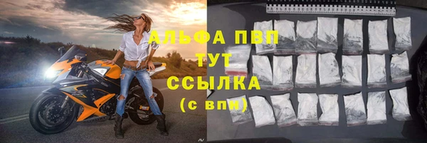 прущие грибы Верхнеуральск