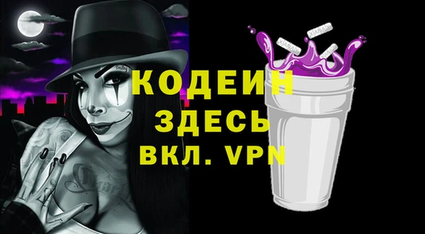 гашик Верея