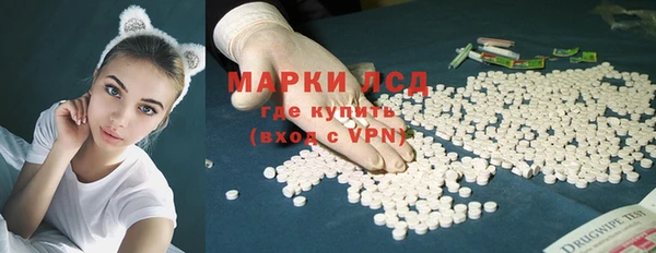 прущие грибы Верхнеуральск