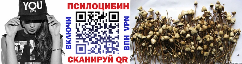 мега рабочий сайт  продажа наркотиков  Печора  Галлюциногенные грибы Magic Shrooms 
